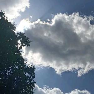 林然视频 头像