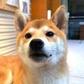 文丽——