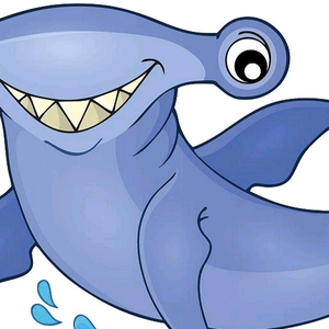 冰冰鲨鱼（老登） 头像