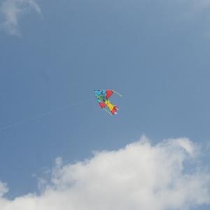 海南周末游 头像