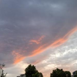 小小土豆 头像