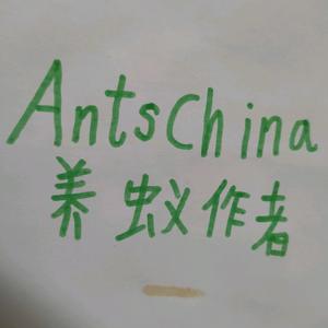 AntsChina养蚁头像