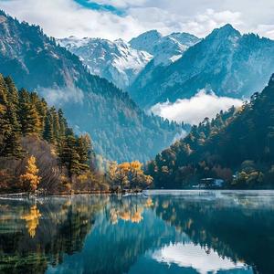 老九论人生 头像