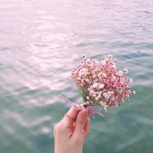 明星赏颜阁 头像
