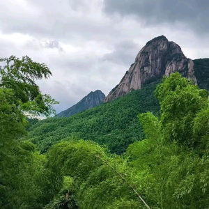 月光洒窗台 头像