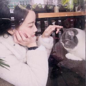 小小小镇做题家 头像