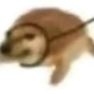 优美水滴T 头像