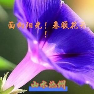 红月亮农场 头像