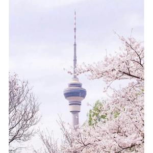 高效阅读试验田 头像