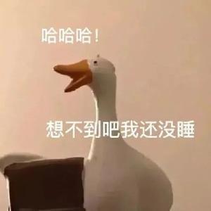 优质语录所 头像