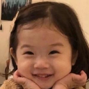 率真梦想家THC 头像