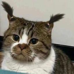 Four（地铁逃生） 头像