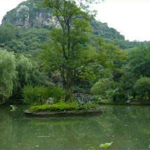 优雅阳光明雾之心 头像