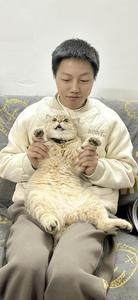 大白蔡的萌宠 头像