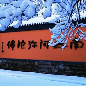 蘑菇金蛋水煎包 头像