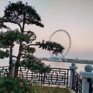 江南水乡开心快乐 头像