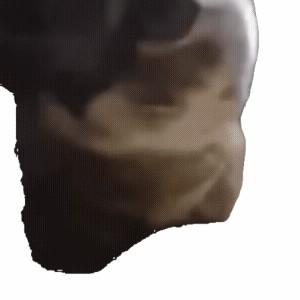 爱生活戴纳6q0 头像