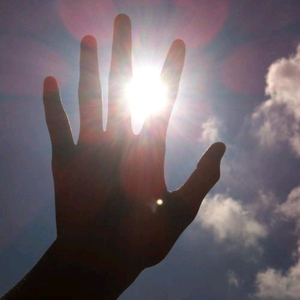 风林手游平台 头像