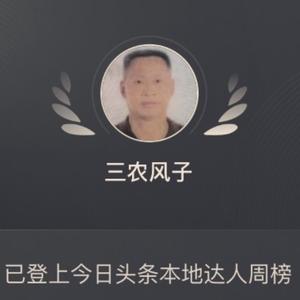 偏瘫自由人 头像