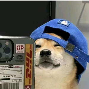 崽崽记录片传奇 头像