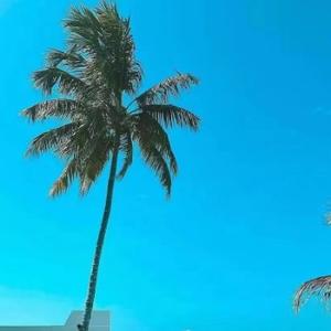 愉悦的白云vm