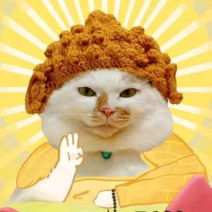 猫meme星人 头像