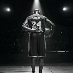 门前四棵树 头像