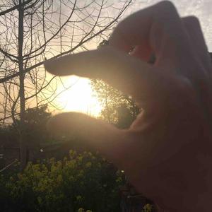 奇豌豆漫画 头像