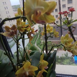 莱阳历史人物-左懋第 - 今日头条