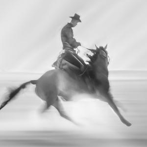 小里和豆腐 头像