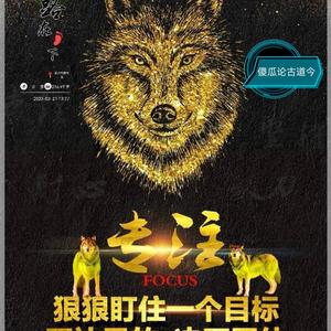 傻瓜论古道今