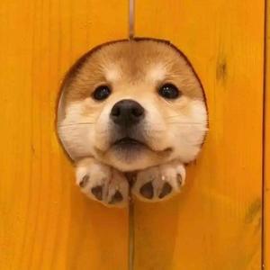 异度冻干好狗粮 头像