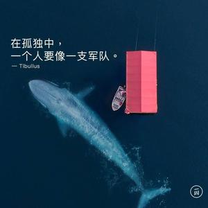 王中和浪迹天涯头像