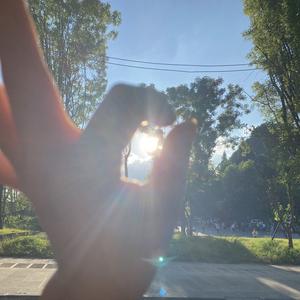 随风飘落的叶子 头像