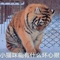 我才不是小猫呢头像