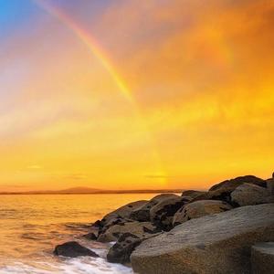 夏黎音乐坊 头像