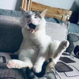 蒸饺在重庆 头像