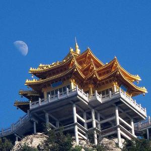 张永年