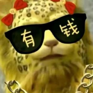 智勇双全枭龙 头像