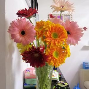 优培资料库 头像