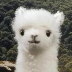 黑猫铁头 头像