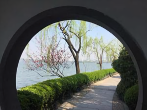 围炉杂家