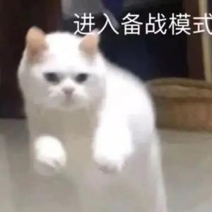 准提桶跑路青年 头像