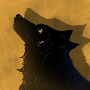 老狼侃天下 头像