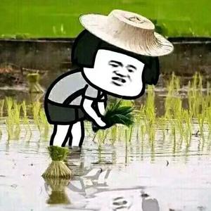 互动的消息 头像