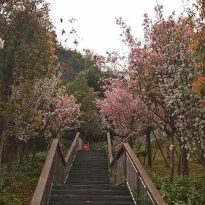 梦想宇宙的尽头 头像