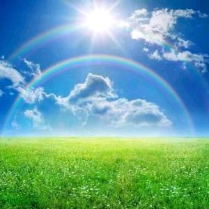 何馨婉家庭教育007 头像