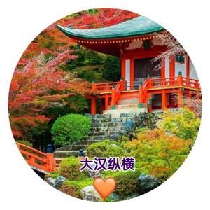 大汉纵横 头像