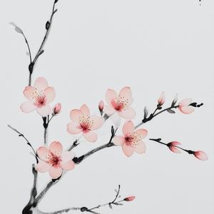 七个很长的名字 头像