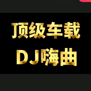 雁过无痕顶级DJ嗨曲U盘头像